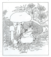 A coloring page of nature in the backyard